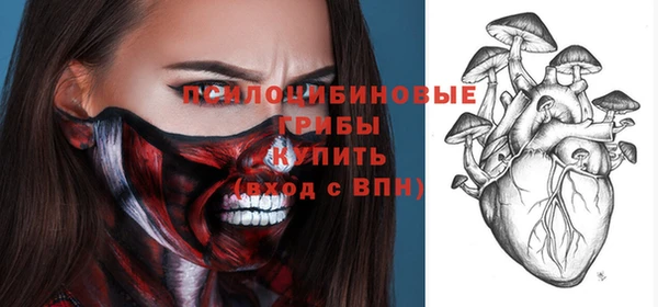 стафф Абинск