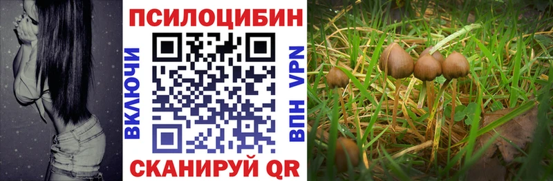 MEGA зеркало shop какой сайт Галлюциногенные грибы мицелий Кимовск